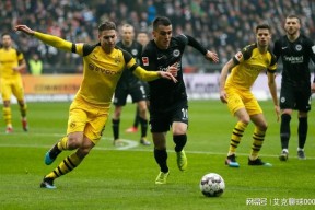 天博体育官网首页-多特蒙德内部会议纪要流出——赛前伤情更新，法国杯使命明确，年轻球员得到机会